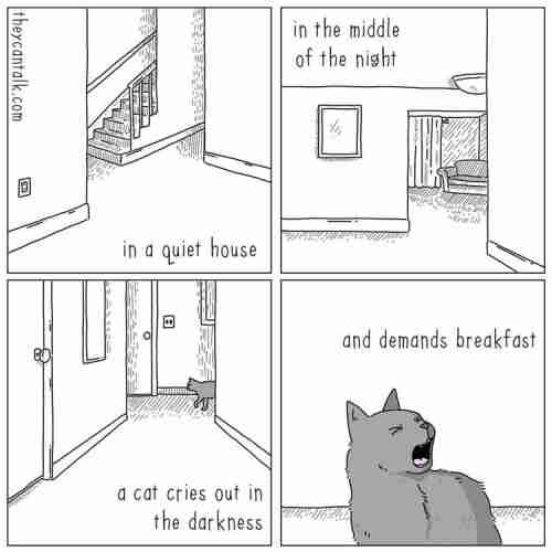 four panels:
in a quiet house
in the middle of the night
a cat cries out in the darkness
and demands breakfast
