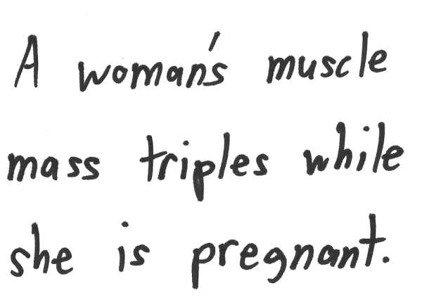 A woman's muscle mass triples while she is pregnant.