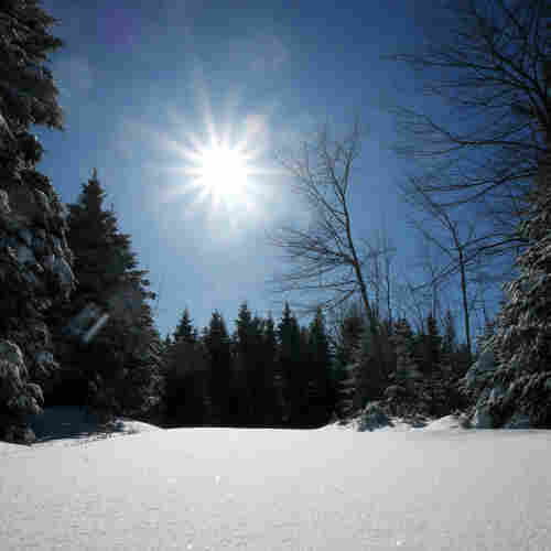 A starry sun over a winter landscape in canada. Silent Sunday 