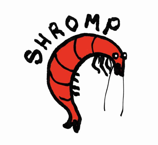 Shromp, a little cartoon shrimp called shromp who says things like "oh ho ho that's a spicy opinion"

(made by @bathyspherehat@mastodon.online)