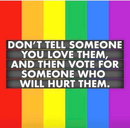 DON’'T TELL SOMEONE YOU LOVE THEM, AND THEN VOTE FOR SOMEONE WHO WILL HURT THEM. 