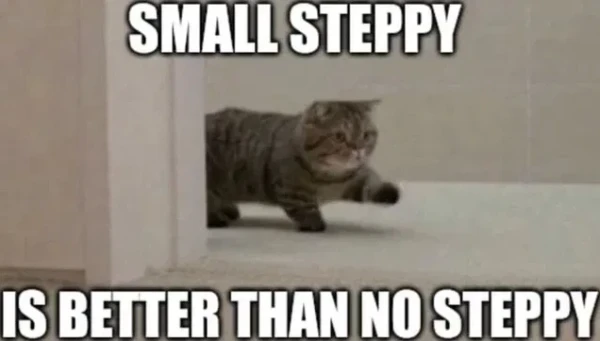 Still image. Ground-level view, doorframe on left side of image, small floofy kitty with one leg raised almost parallel to the ground, like feline dressage and hopefully cruelty free. 

Top text: SMALL STEPPY
Bottom text: IS BETTER THAN NO STEPPY