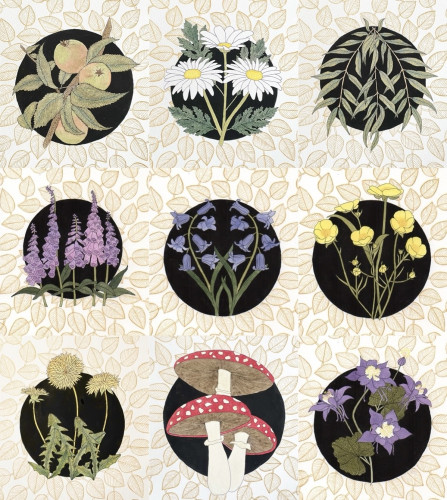 A grid of nine nature illustrations. Each plant is on a black circle surrounded by golden leaves that fill the rest of the page. Top left is crab apples on a branch, top middle is three daisies, top right is three willow branches. Middle left is five pink and purple foxgloves, centre is two bluebell plants, middle right is six buttercup flowers and some buds. Bottom left is three dandelions, bottom middle is three fly agaric fungi, bottom right is four purple aquilegia flowers and a bud, the middle of the flowers are white and yellow.