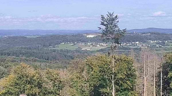Blick auf eine Landschaft mit Wald, Bergen und Ortschaften. Rechts einige Baumgerippe. Im Vordergrund ein einzelner Baum mit Blättern nur noch in der Baumkrone. Im Hintergrund Anzeichen eines Basaltwerks.