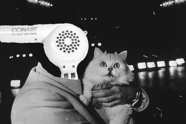 Iconic black and white image of Bond villain, Ernst Blofeld, holding a white cat. His head has been replaced with a blowdryer.
