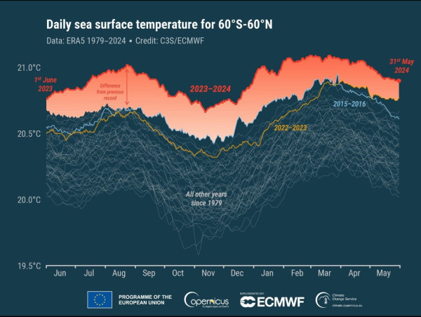 Line graph shows global sea surface temperature recorded daily from 1979 through May 2024. During the past 12 months, temperatures have been far higher than ever before seen. 