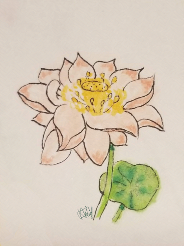 Ink drawing of a water lily in full bloom with a lily pad.