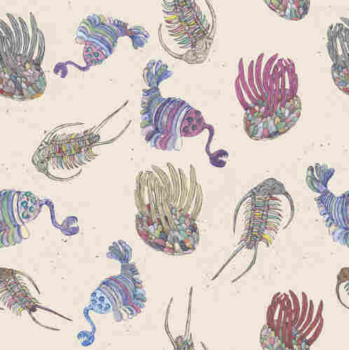 As described this is a square image of a repeat pattern of my linocuts of three Cambrian invertebrates, each printed with each section on a different patterned and coloured Japanese washi paper. The background is sand coloured with brown speckles. The animals are in multiple colours. The animals are spiky ovoid Wiwaxia, Opabinia (somewhat like a shrimp with 5 eyes on stalks and a trunk like tubular proboscis with grasping claws) and the trilobite Cheirurus ingricus.