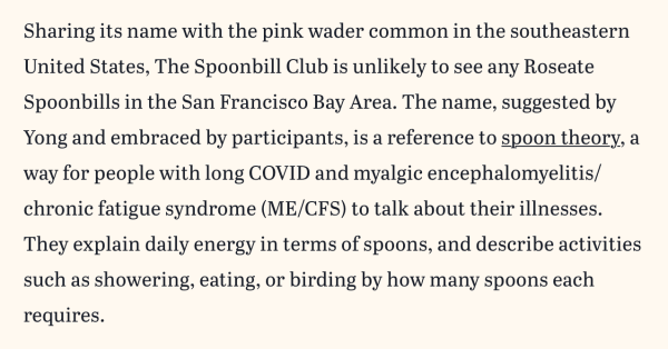 "Sharing its name with the pink wader common in the southeastern United States, The Spoonbill Club is unlikely to see any Roseate Spoonbills in the San Francisco Bay Area. The name, suggested by Yong and embraced by participants, is a reference to spoon theory, a way for people with long COVID and myalgic encephalomyelitis/chronic fatigue syndrome (ME/CFS) to talk about their illnesses. They explain daily energy in terms of spoons, and describe activities such as showering, eating, or birding by how many spoons each requires."