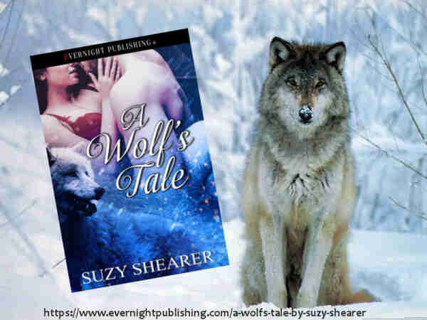 Photo of a snow scene with a large sitting wolf staring into the camera. He has snow on his muzzle. 
Superimposed on the left side is the book cover. A bare chested man holding a woman who has her hand on his face, aboout ot kiss him. There is a white wolf at the bottom off the cover.
Title : A Wolf's Tale by Suzy Shearer