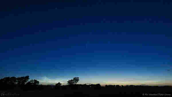 A photo of the night sky, many stars are visible and there is a horizon line of dark trees. Just above the horizon is a thin line of night-shining or noctilucent cloud. Near the centre of the shot is an unusual star, this one has a tail fading back to invisibility above it. This is comet NEOWISE.