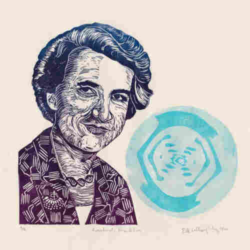 My linocut portrait of Rosalind Franklin (1920 – 1958), in a gradient of magenta from her shoulders up through dark blue to her hair. Her necklace is a double helix of DNA. Her brooch is the Tobacco Mosaic Virus. The pattern on her jacket is based on her publication of the structure of non-graphitizing carbon.
⁠
Behind her in shades of robin’s egg blue is an image of the famous X-ray crystallographic Photo 51, produced by her grad student Gosling and important to deducing the structure of DNA.