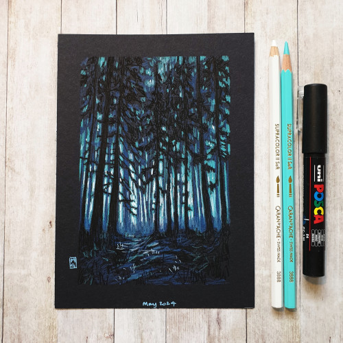 Original drawing - Night Woodland
A colour drawing a woodland area at night in a palette of blues.
Materials: colour pencil, mixed media, acid free black paper
Width: 5 inches
Height: 7 inches
