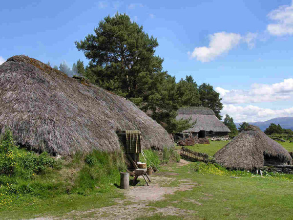 Thatched houses at the Highland Folk Museum. The image shows a large house on the left with thatch that almost reaches the ground. There’s a much smaller house a little further away on the right and in the background is a third, with a more elaborate style of roof. There are trees on the left and hills in the background, The scene is in sunlight.