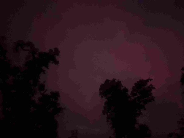 Nachthimmel mit rot-lila Schein, Kastanienbäume davor