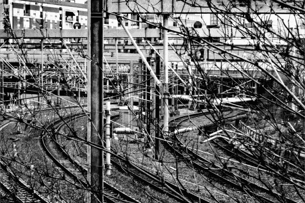 A black and white, high-contrast photograph that captures the complex intertwining of train tracks, electrical lines, and industrial structures at Providence train station. The foreground is blurred with the twigs of leafless trees, contributing to a sense of chaotic beauty, reminiscent of Daido Moriyama's gritty street photography style.