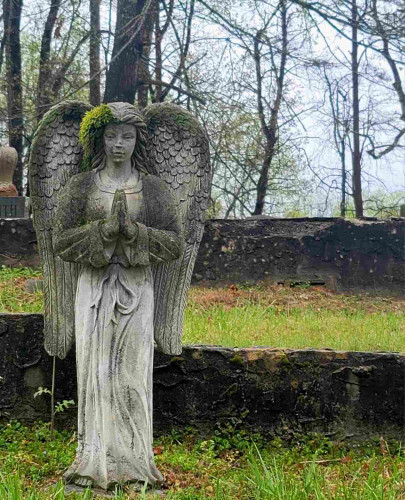 Color Photograph 

Concrete Angel with feathered wings, hands praying. Angel is in a cemetery but no tombstones are nearby.  Light blue sky and trees just starting to have green leaves. Green grass that has not been mowed recently.