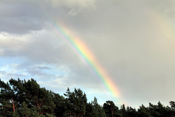 Photo of the rainbow