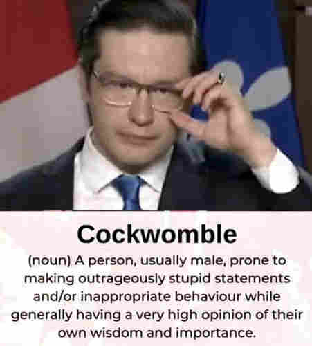 Cockwomble (noun) a person, usually male, prone to making outrageously stupid statements and/or inappropriate behaviour while having a very high opinion of their own wisdom and importance.  Photo of Pierre Poilievre before his cosmetic makeover. He's still a cockwomble.