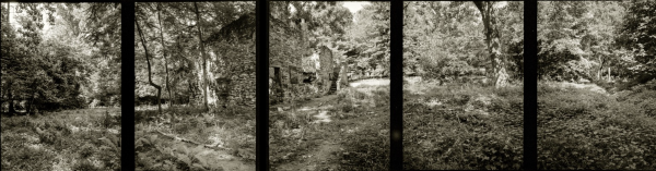 A 5 frame panorama of portrait orientation photos showing the ruins of an old barn on an overgrown forest. The images all li e up perfectly (and the images are spaced correctly to account for the gap left between the frames by the field advance) because of the ratcheting pano head.