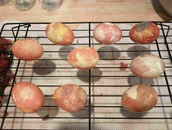 Nine hardboiled eggs died using onion skins. Some eggs are mottled brown (from red skins). Others have patches of yellow or lighter brown (form yellow skins). One egg (top middle) has the white ghost of a cilantro sprout that was placed against the egg before skin wrapping. One egg (top right) has an almost blue patch from some really, really dark red skin. The center right egg shows faintly green mottled leaf shapes from the dandelion leaf place against it before wrapping.