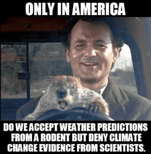 ONLY IN AMERICA DO WE ACCEPT WEATHER PREDICTIONS FROM A RODENT BUT DENY CLIMATE CHANGE EVIDENCE FROM SCIENTISTS.