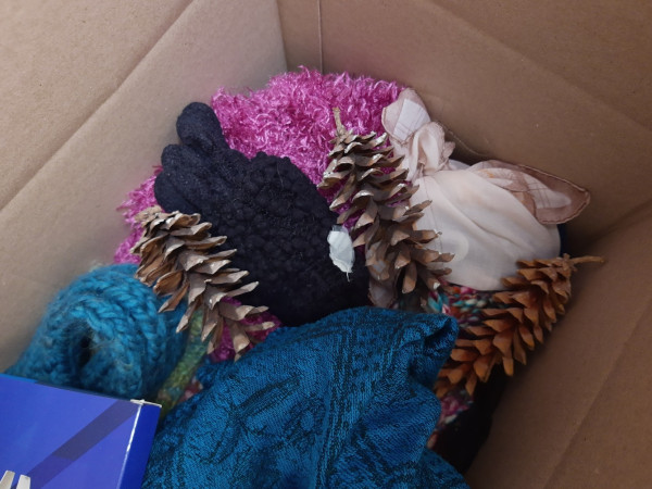 Photo of a box filled with scarves and outdoor stuff, topped with three giant pine cones bigger than my fist, from my favourite lil park to meditate at.