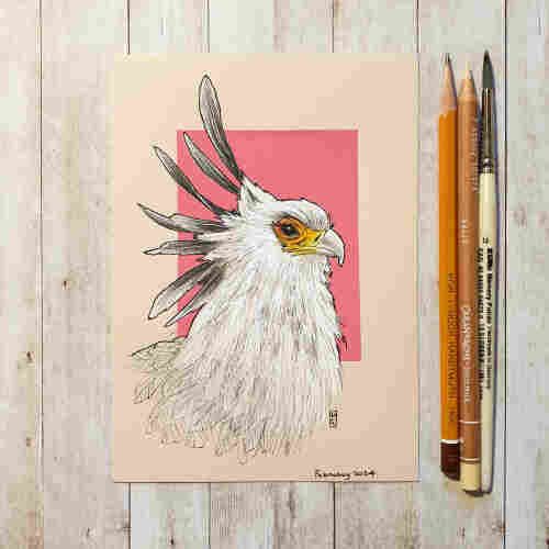 Original drawing -Secretary bird Portrait
A drawing of a portrait of a secretary bird. The drawing was made with colour pencil and mixed media on warm toned beige paper, it has a bright pink background.
Materials: colour pencil, mixed media, Acid free beige artist paper
Width: 5 inches
Height: 7 inches
