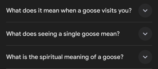 Screenshot of some suggested additional searches as part of a list of google search results:
What does it mean when a goose visits you?
What does seeing a single goose mean?
What is the spiritual meaning of a goose?