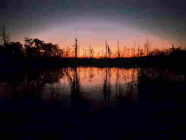 Very dark image looking out over a marsh-like waterway with darkened features. Barren trees and reeds appear as dark silhouettes against an orange glow from the horizon Pre-Sunrise, all reflecting upon the water below.