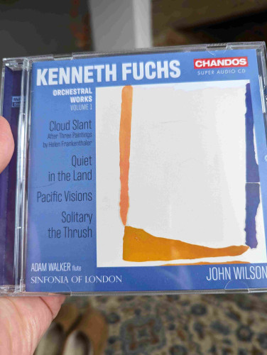 Photo of the CD. Dominated by an abstract painting. A thin vertical orange strip to the left. A orange brown wedge along the bottom. A irregular blue vertical strip to the right. Hint of the start of a mirror image at the bottom.