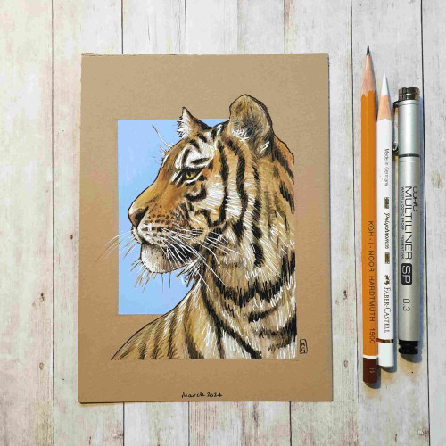 Original drawing - Portrait of a Tiger
A portrait drawing of a tiger in colour, with a blue background.
Materials: colour pencil, mixed media, acid free buff coloured paper
Width: 5 centimetres
Height: 7 centimetres
