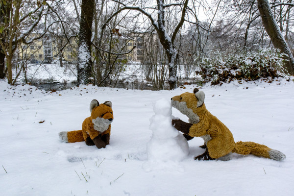 Two red fox plushies building a snowman with a few trees and a river in the background.