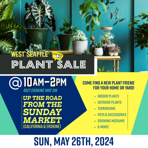 West Seattle Pop-Up Plant Sale 2024. Come to our pop-up plant sale with houseplants, outdoor plants, and unusual plants from all over the world, plus pots and other plant accessories! Sunday 10 am - 2 pm, May 26, 4927 Erskine Way SW, Seattle, WA 9811.
