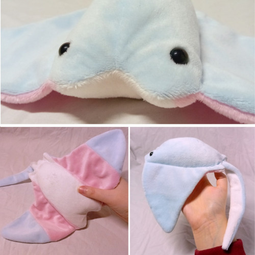 A collage of a trans flag stringray plushie. A closeup of the blue face, a picture of my hand holding the underside showing the trans flag stripes stretching across the 'wings' and body, and a picture of a side profile showing the blue upper body and long stingray tail.