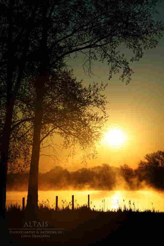 Sonnenaufgang über einem Teich. 
- 
Sunrise above a pond.