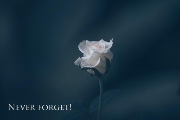 Weiße Rose vor blaugrauem Hintergrund. 
„Don‘t forget“