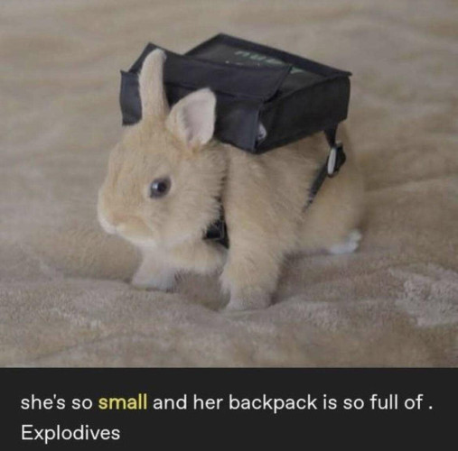 A rabbit with a backpack. She's so small and her backpack is so full of [sic] explodives 