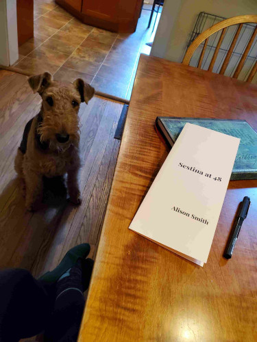 Young Airedale Mavis looks on from the dining room floor as the Opaat Press poetry pamphlet Sestina at 48 by Alison Smith rests on the dining room table with a black pen and a notebook with an ornate green cover. My feet are visible next to the table, in blue tights, aqua and gray socks and green shoes.