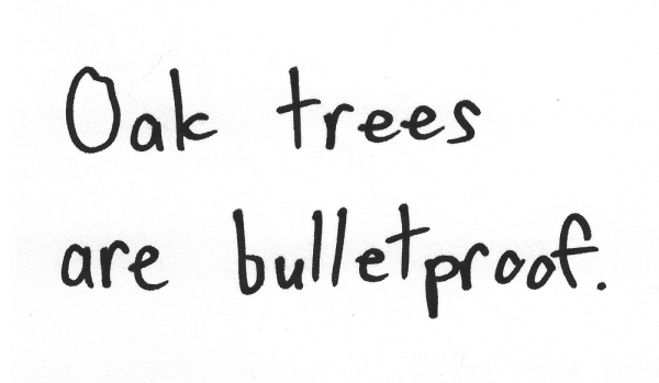 Oak trees are bulletproof.