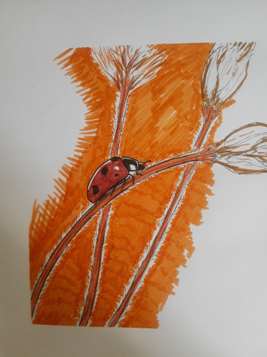 A ladybug on a fieldflower, two more wheatplantish flowers in the background
Warm colors, nearly only orange, red, Brown

Fine-liner, brushpens