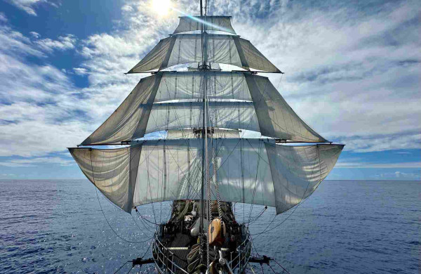 View of a square rigged ship with every piece of canvas flying including six auxiliary stun sails. 