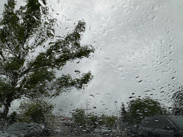 View through a windshield covered in raindrops. Vague shapes of trees and a parking lot. 