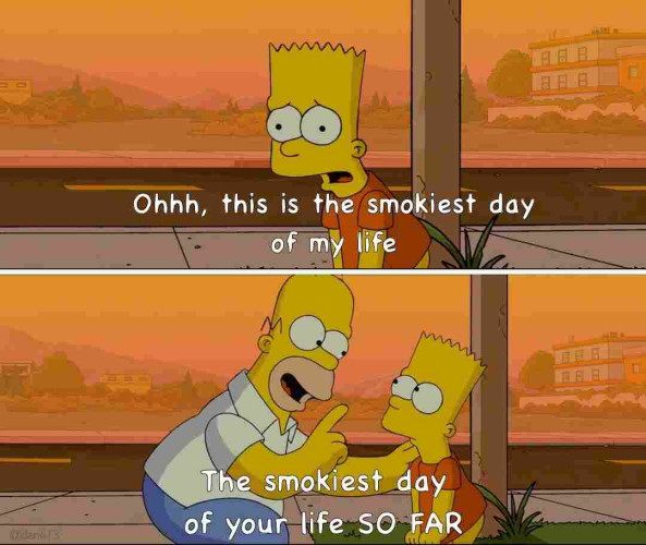 Bart Simpson standing on a sidewalk, dejected: This is the smokiest day of my life
Homer, uplifting: The smokiest day of your life SO FAR!
