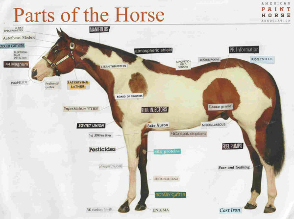 a chart pointing to parts of a horse, including "soviet union", "manifolds", "PR Information", and "autofocus module" 
