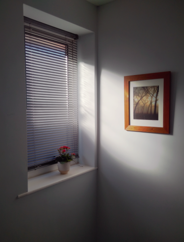 A photo of the window on my landing, from which gentle, warm light shines through grey venetian blinds onto white walls. There is a framed photo of bare trees at sunset on one wall, and a small potted plant with bright red flowers on the window sill.
