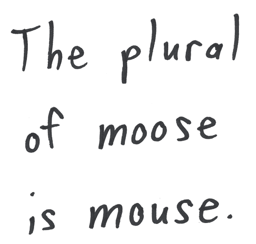 The plural of moose is mouse.