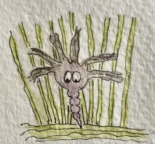 Drawing of a small, purple creature with multiple protruding limbs and googly eyes standing in front of tall, green grass-like plants. Its nose looks like a driller and seems to dig into the ground.