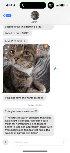 Text from my husband with photo of our cat looking disappointed “she wants cat food”
