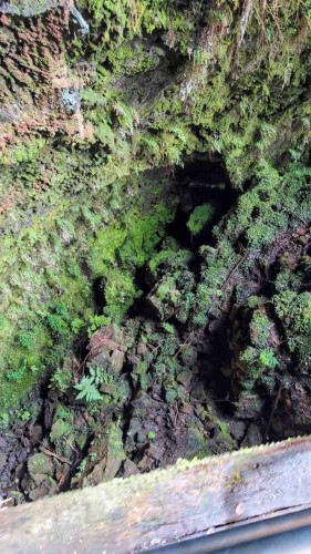 Moss covered lava cave descending into the darkness.